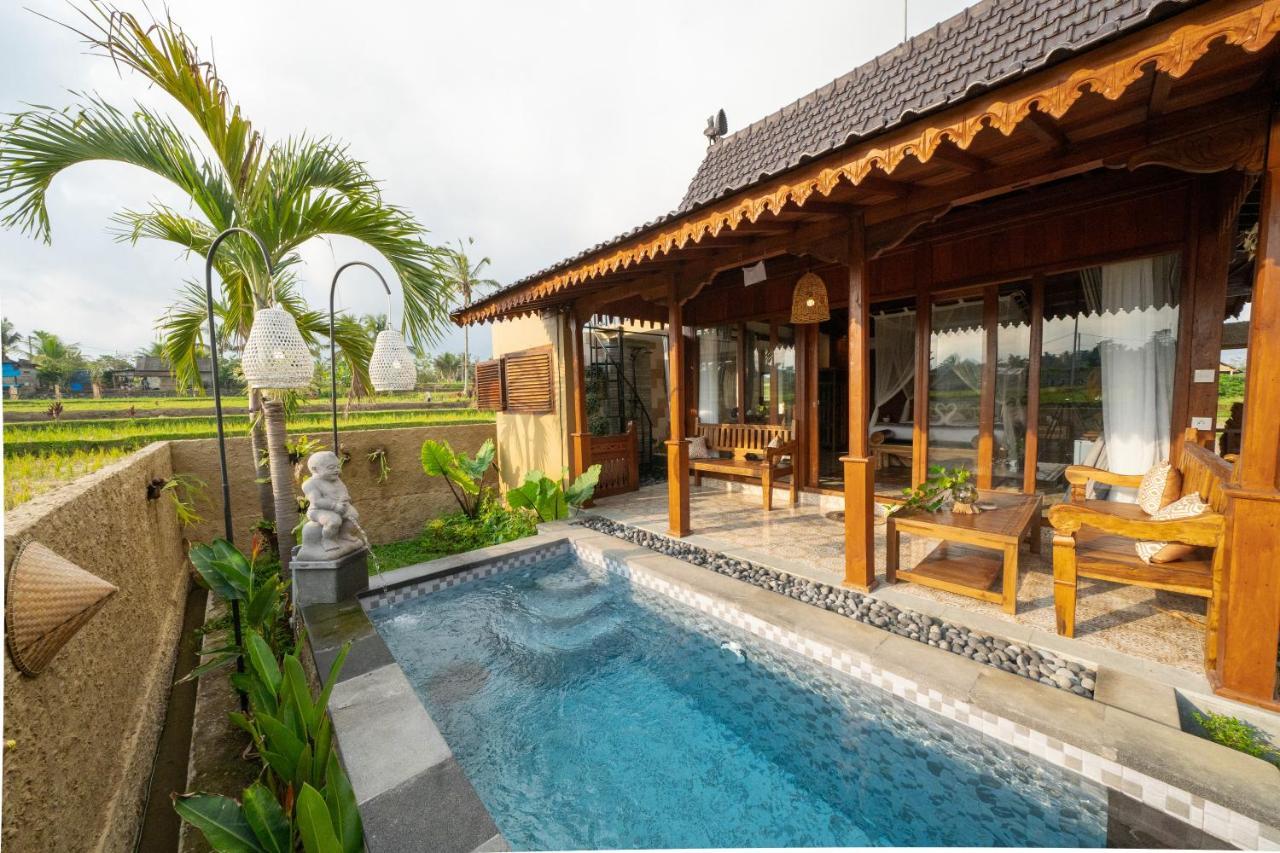 Barong Bali Villas Ubud Eksteriør bilde
