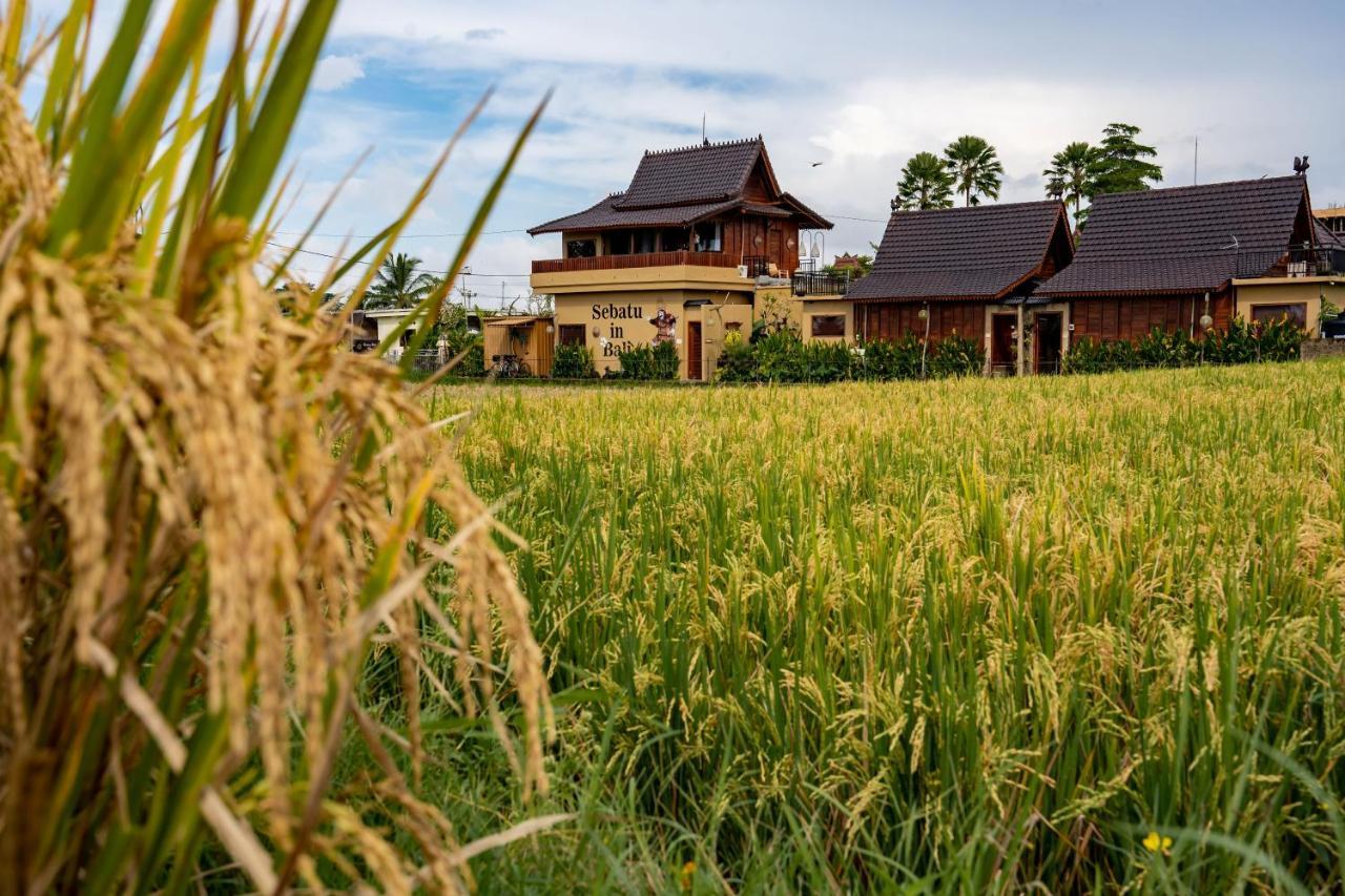 Barong Bali Villas Ubud Eksteriør bilde