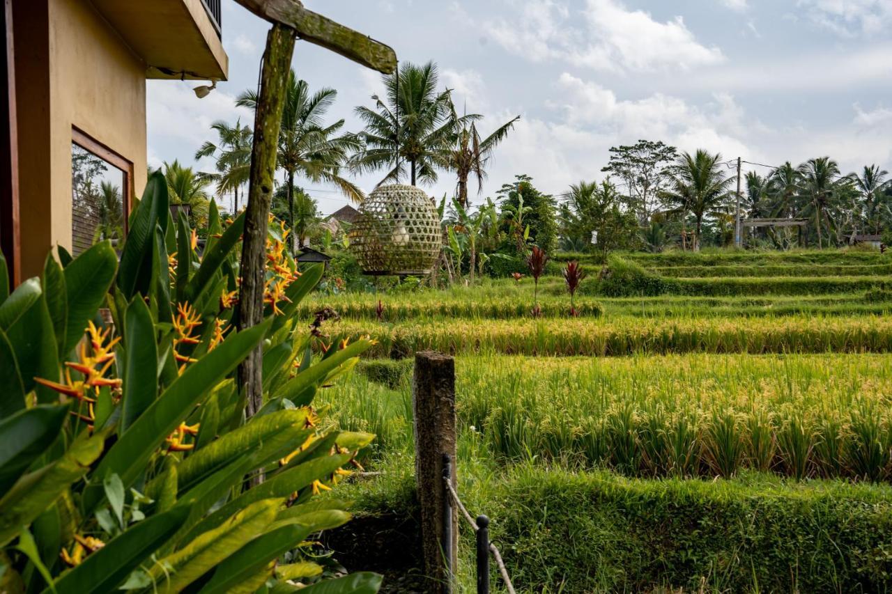 Barong Bali Villas Ubud Eksteriør bilde